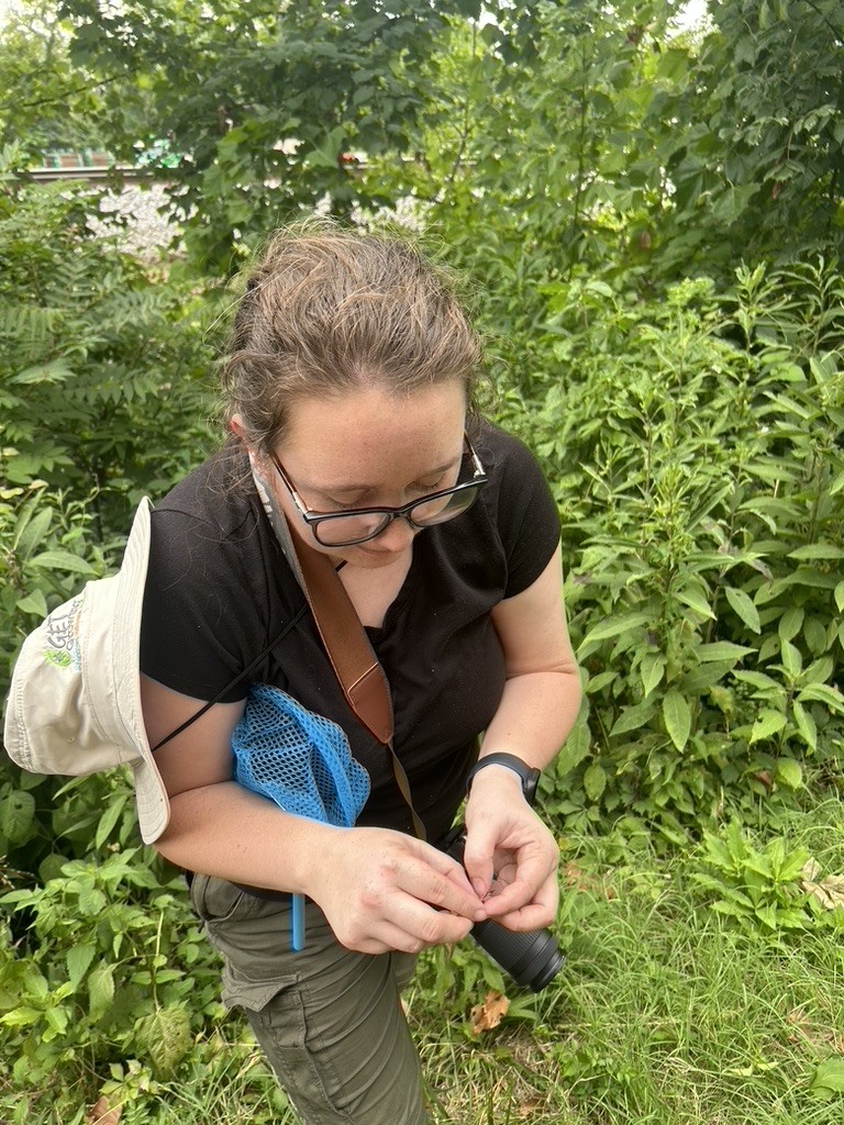 Rebekka Horn, Graduate Research Assistant working on various field projects