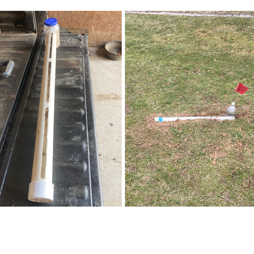 An example of a pitfall trap, a monitoring technique for adult ABW. 
